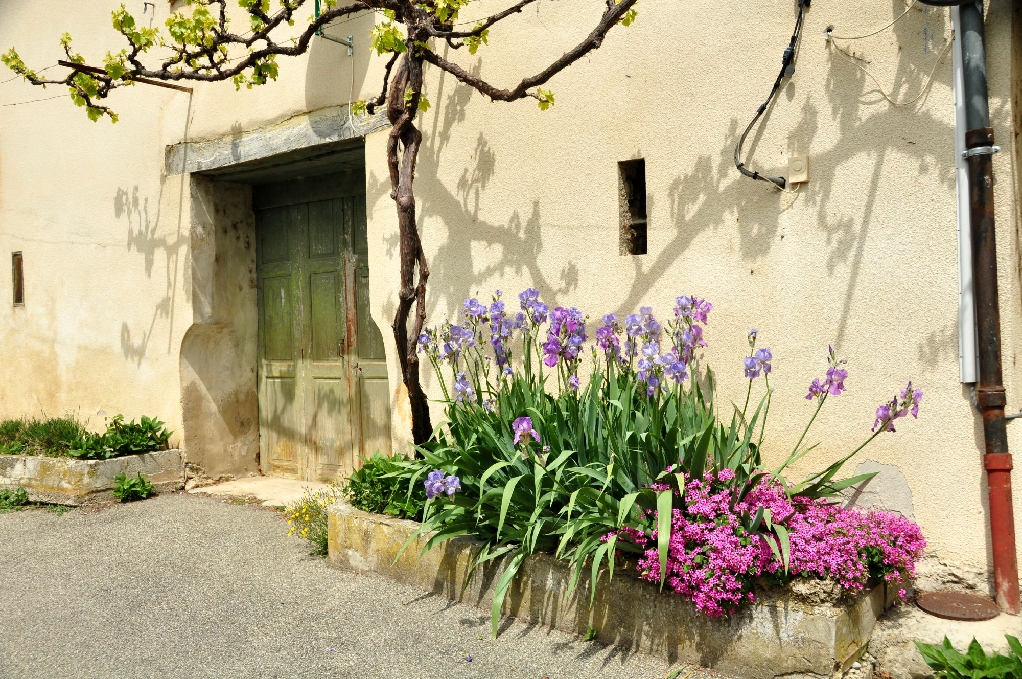 Montbrun-les-Bains